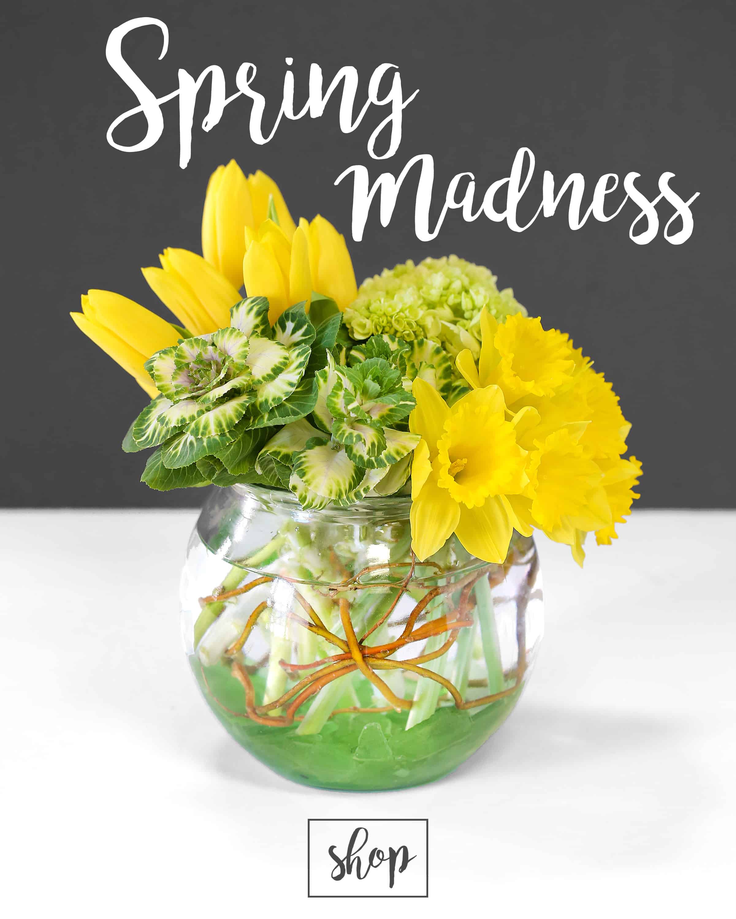 Spring madness