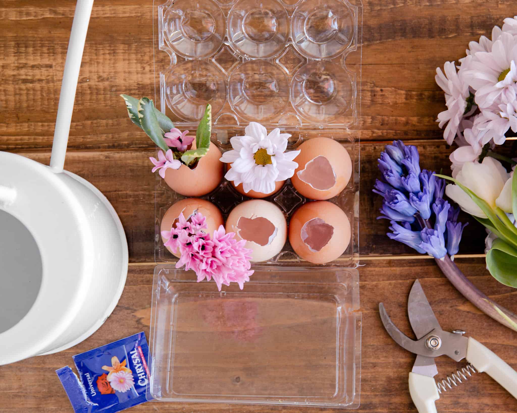 DIY Blooming Easter Eggs In Bloom Florist Blog