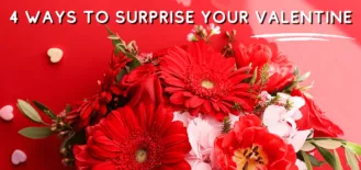 vday blog