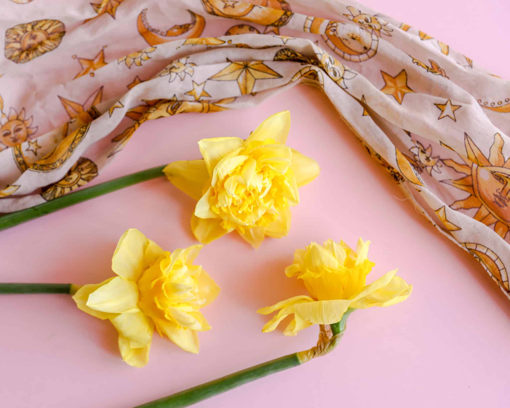 April Flower of the Month Daffodils In Bloom Florist Blog