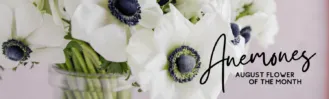 Flower of the Month Banner (1)