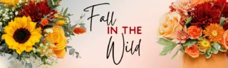 Fall Collection Blog Banner