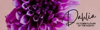 Flower of the Month Banner (4)