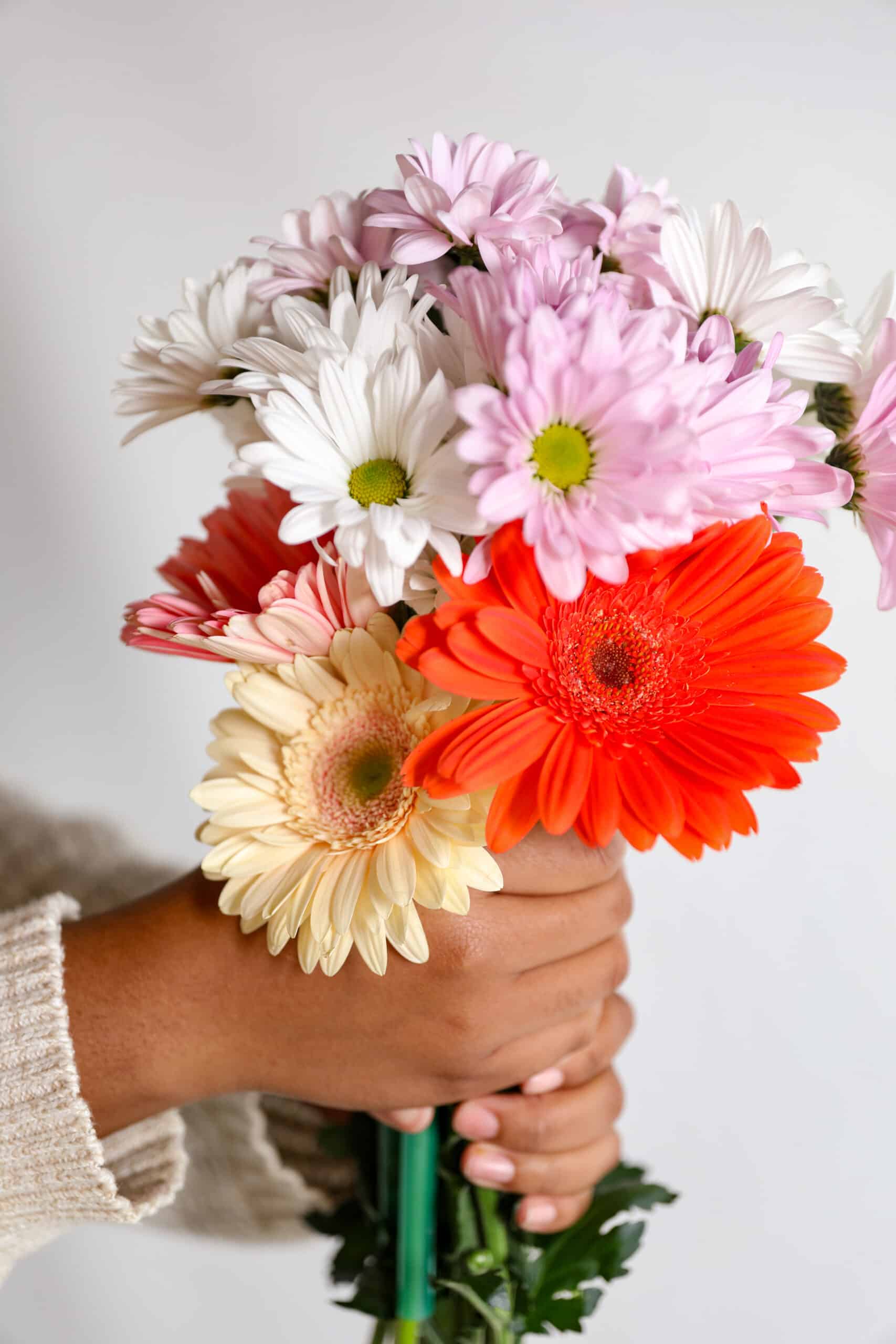 a hand holding a bouquet of daisies and gerberas