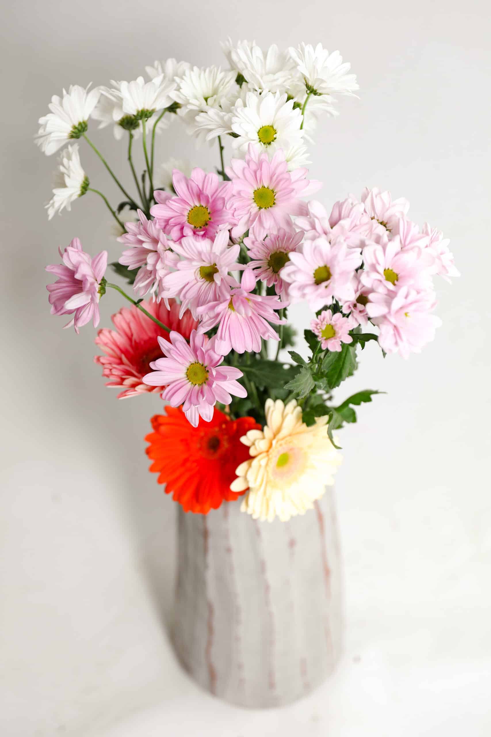 Daisies and Gerbera daisies in a vase