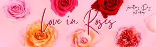Love in Roses (1)