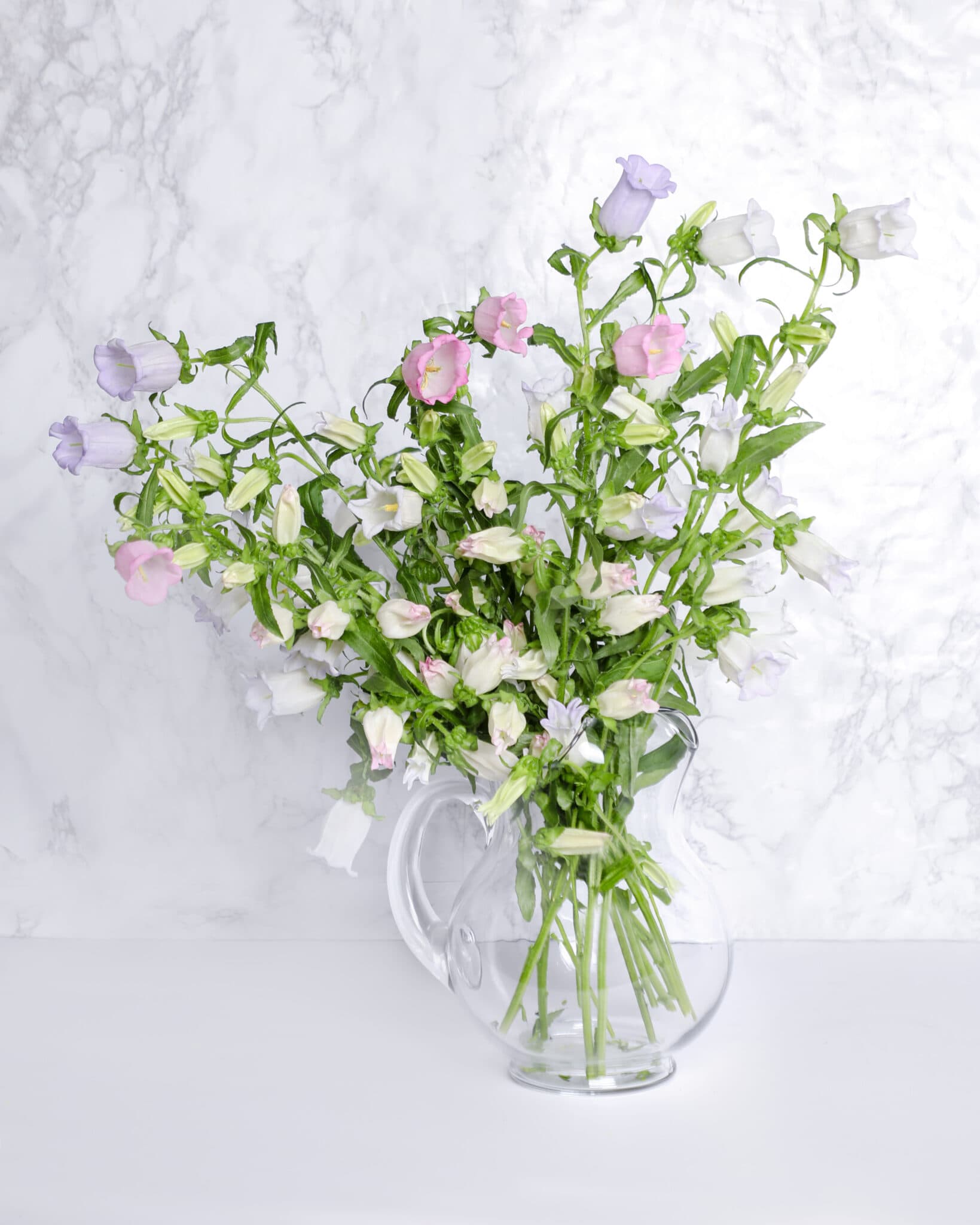 April Flower of the Month: Campanula | In Bloom Florist Blog - In Bloom ...